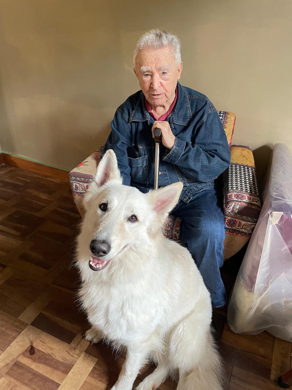 Companhia canina